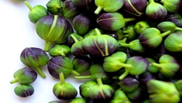 Herkes zehirli biliyor ama Türkiye'den almak için 29 ülke sıraya girdi