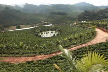 Foto - Herkese geçmiş olsun! Marketlerde kapış kapış giden o ürüne deli zam geliyor