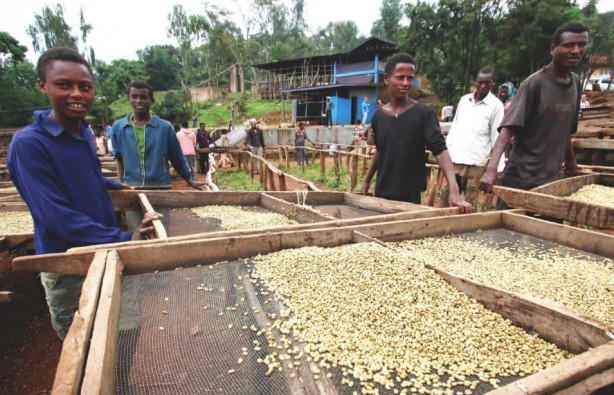 Foto - Herkese geçmiş olsun! Marketlerde kapış kapış giden o ürüne deli zam geliyor