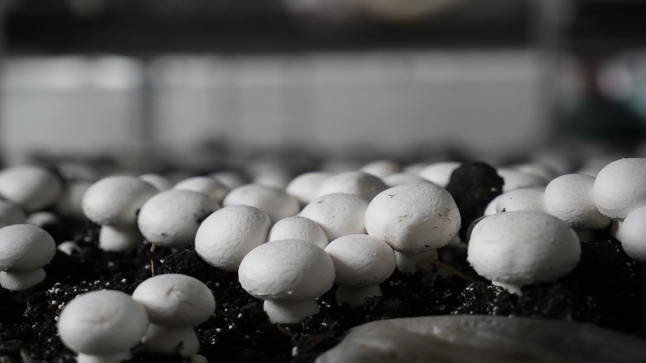 Herkese örnek oldu! 24 yaşındaki gençten başarı hikayesi