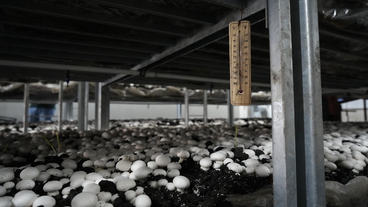 Foto - Herkese örnek oldu! 24 yaşındaki gençten başarı hikayesi