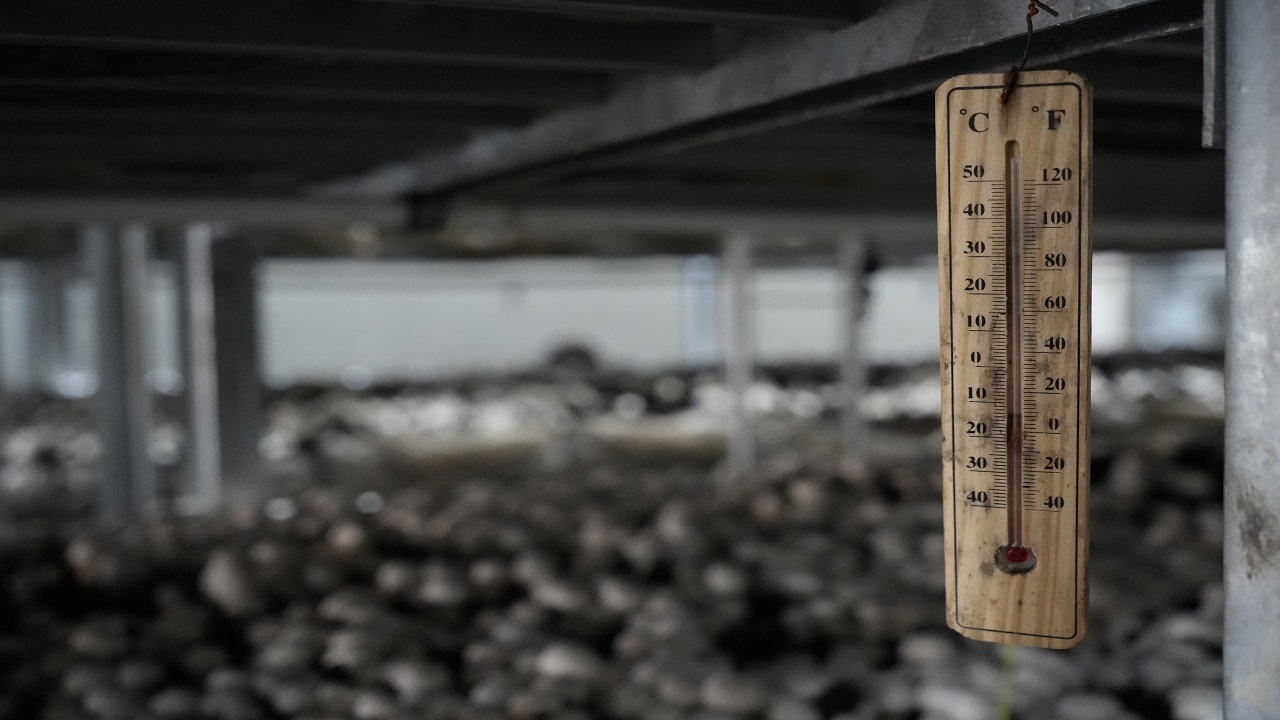 Foto - Herkese örnek oldu! 24 yaşındaki gençten başarı hikayesi