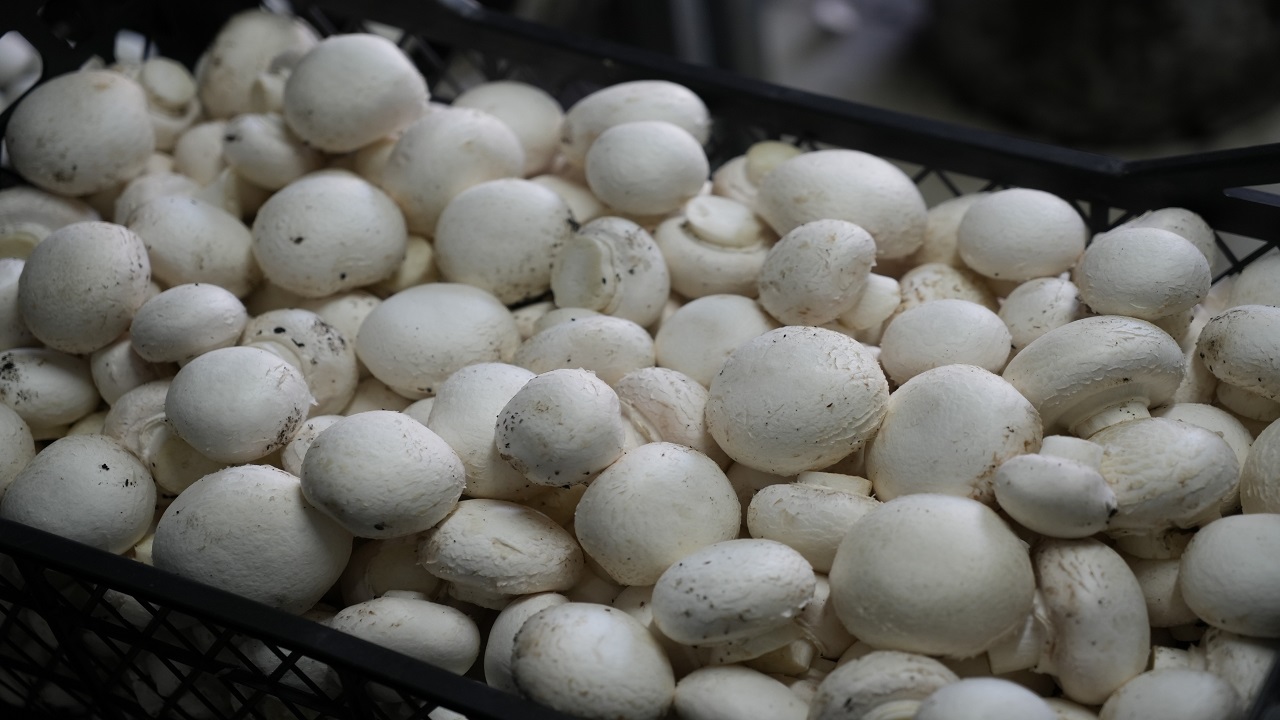 Foto - Herkese örnek oldu! 24 yaşındaki gençten başarı hikayesi