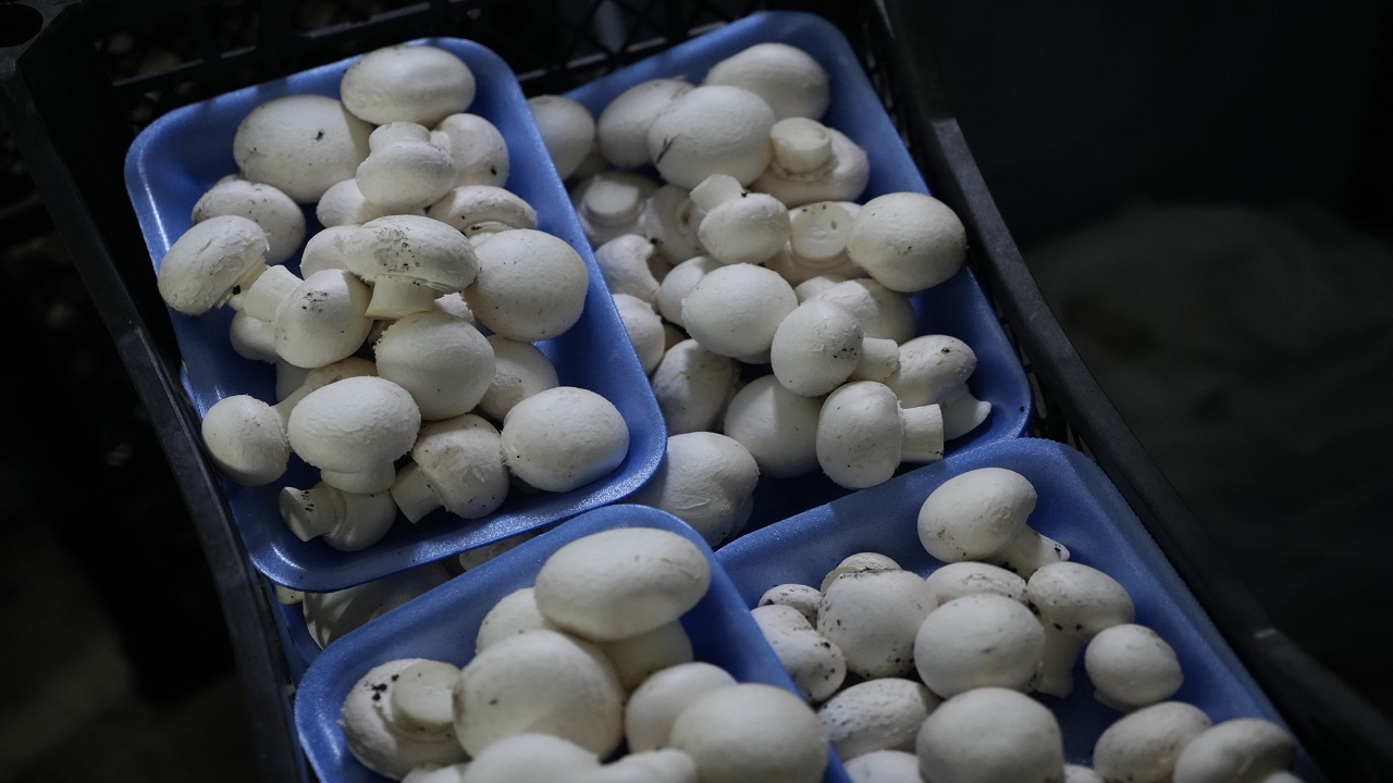 Foto - Herkese örnek oldu! 24 yaşındaki gençten başarı hikayesi