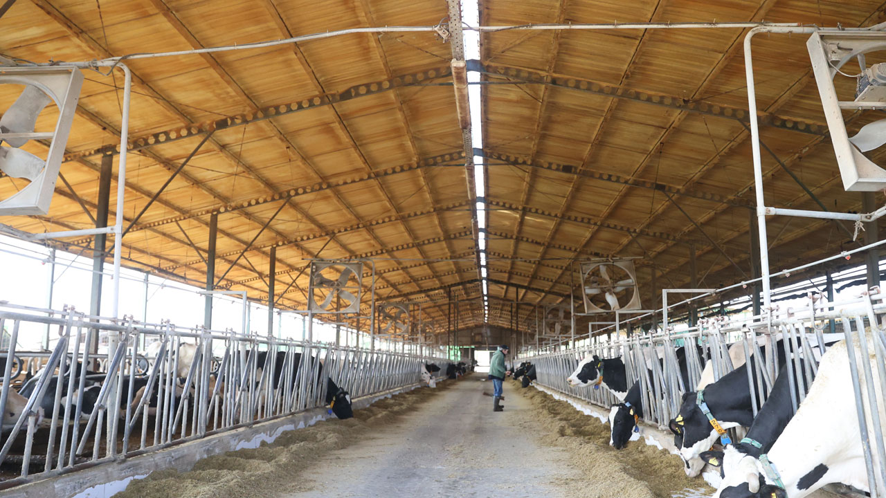 Foto - Herkese örnek oldular! Bu yöntemle elektrik faturası sıfırlandı