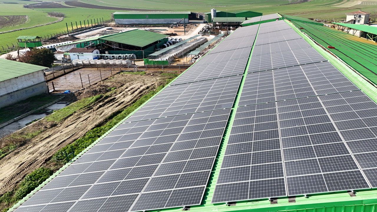 Foto - Herkese örnek oldular! Bu yöntemle elektrik faturası sıfırlandı