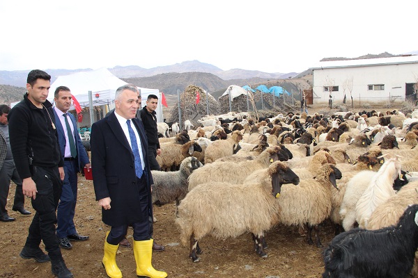 Foto - Herkese tavsiye ediyor! Devlet desteğiyle kurdu sonuç müthiş