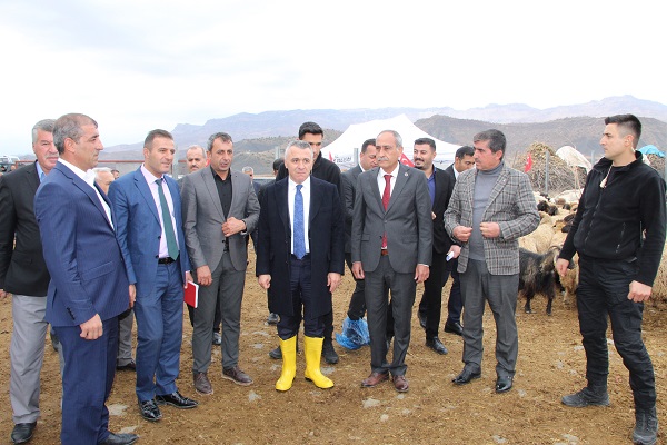 Foto - Herkese tavsiye ediyor! Devlet desteğiyle kurdu sonuç müthiş