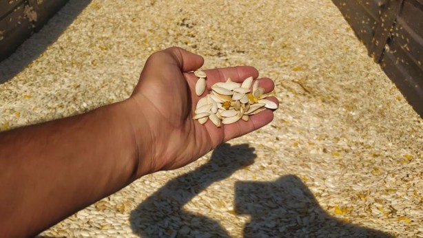 Foto - Herkese tavsiye ediyor! İlk defa başladı ama sonuç harika