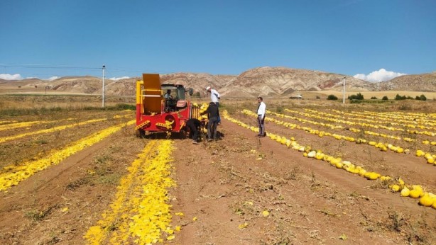 Foto - Herkese tavsiye ediyor! İlk defa başladı ama sonuç harika