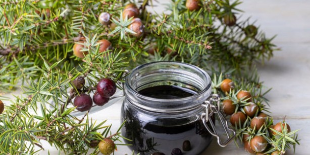 Foto - Herkesi şaşırtan Canan Karatay sır besini açıkladı: Çok merak edilen şok besin kabızlığı bıçak gibi kesiyor!