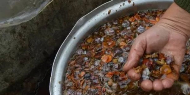 Foto - Herkesi şaşırtan Canan Karatay sır besini açıkladı: Çok merak edilen şok besin kabızlığı bıçak gibi kesiyor!