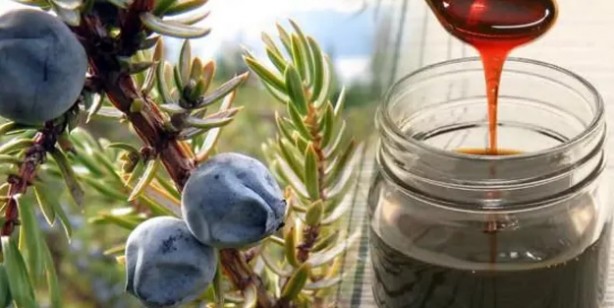 Foto - Herkesi şaşırtan Canan Karatay sır besini açıkladı: Çok merak edilen şok besin kabızlığı bıçak gibi kesiyor!