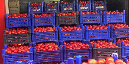 Herkesi tedirgin eden gelişme! Türkiye'den gönderilen domateslerde tespit edildi