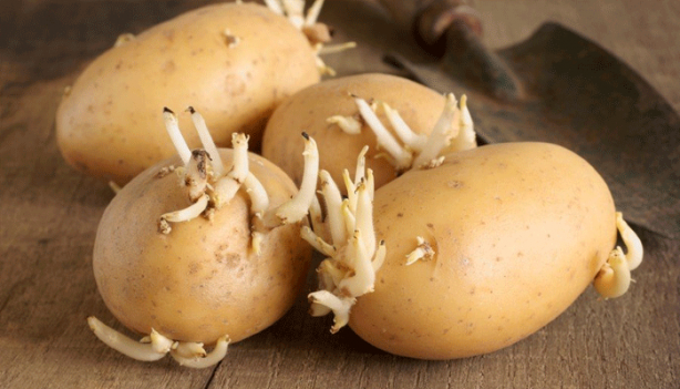 Foto - Herkesin evinde var... Sakın böyle yemeyin! Onlarca hastalığa neden olduğu ortaya çıktı