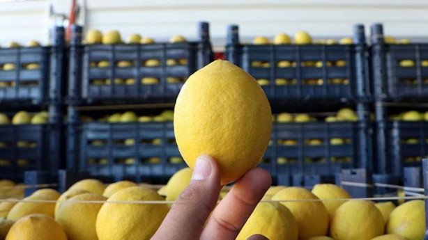 Herkesin evine giren limonda büyük rezalet! Duyan, okkalı bir "yuh" çekiyor
