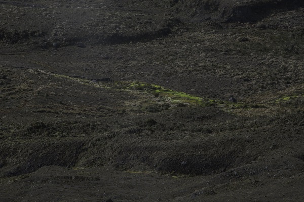 Foto - Herkesin görmeyi istediği ulusal park
