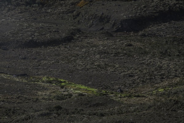 Foto - Herkesin görmeyi istediği ulusal park