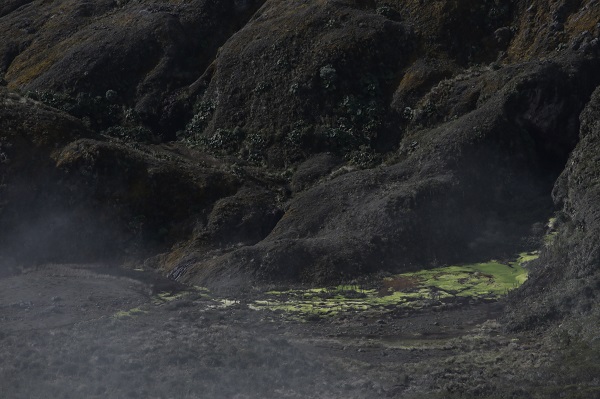 Foto - Herkesin görmeyi istediği ulusal park