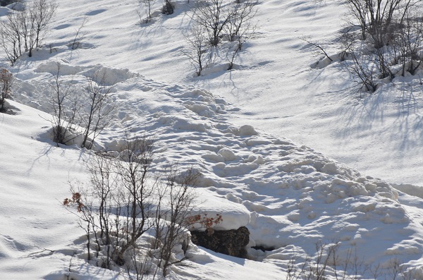 Foto - Herkesin yüreği ağzında! Havalar ısınınca olmaya başladı