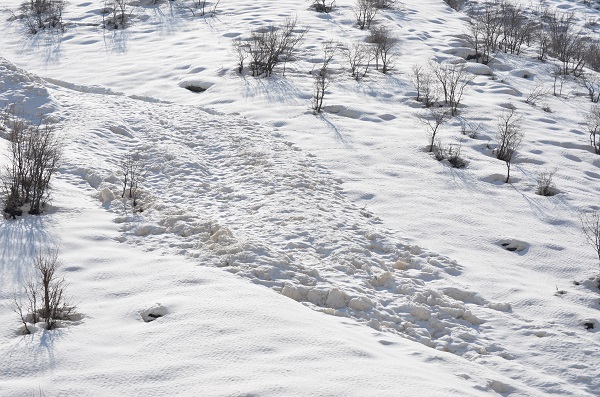 Foto - Herkesin yüreği ağzında! Havalar ısınınca olmaya başladı