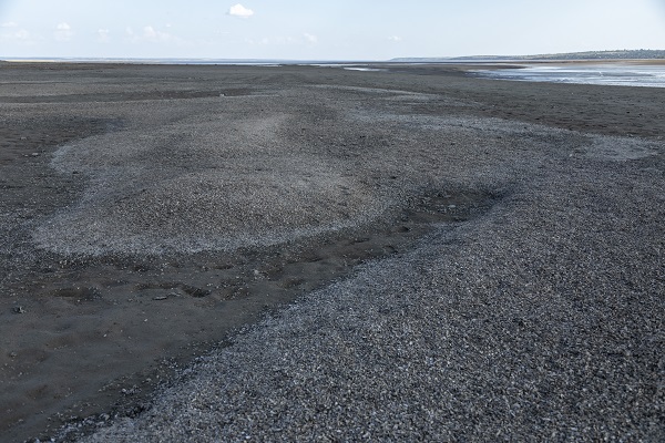 Foto - HES patlaması çevreyi bu hale getirdi