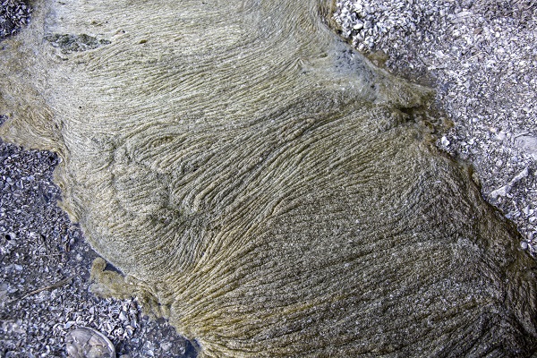 Foto - HES patlaması çevreyi bu hale getirdi