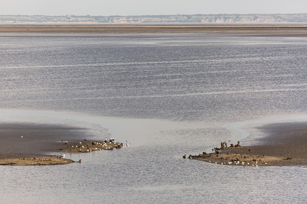 Foto - HES patlaması çevreyi bu hale getirdi