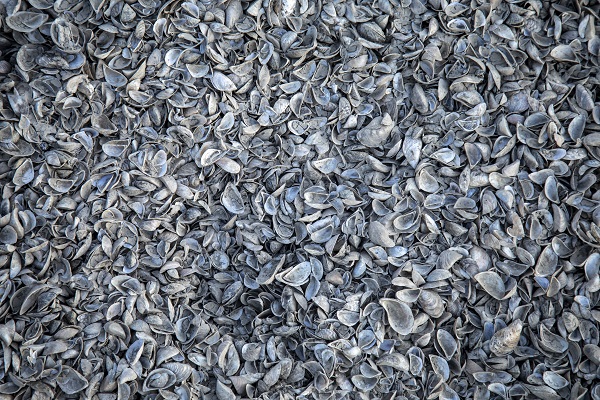 Foto - HES patlaması çevreyi bu hale getirdi