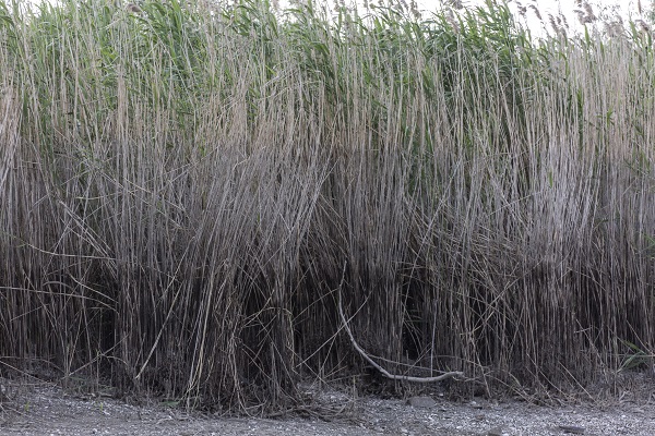 Foto - HES patlaması çevreyi bu hale getirdi