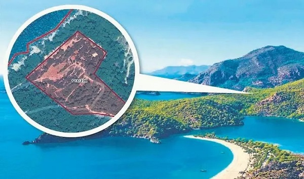 Foto - Hesabına para gelmeye devam ediyor! Kimsesizler mezarlığında bir milyoner