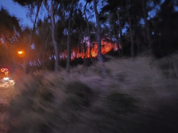Heybeliada'da ormanlık alanda yangın