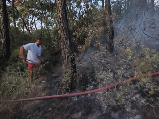 Foto - Heybeliada'da ormanlık alanda yangın