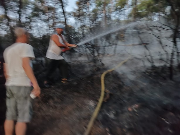 Foto - Heybeliada'da ormanlık alanda yangın