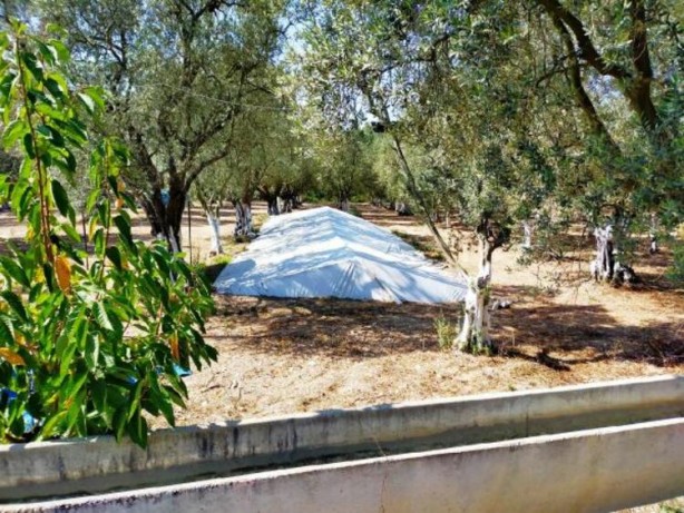 Foto - Heyecalandıran görüntü! Üstü hemen kapatıldı