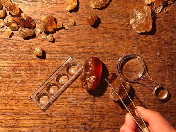 Heyecan veren keşif! Kehribarın içinde bulundu: 100 milyon yaşında