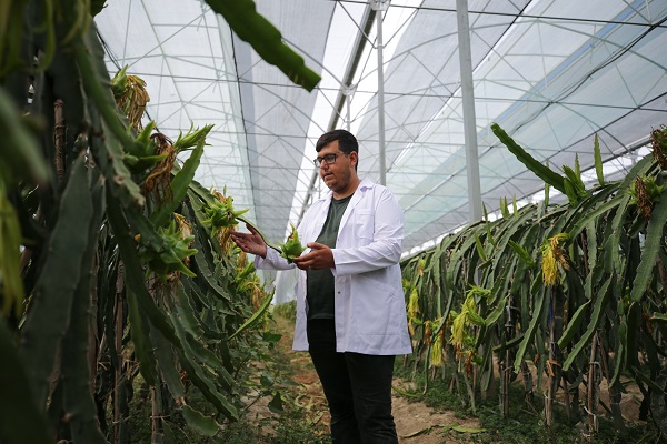 Foto - Hibe desteği aldı tesis kurdu! Hem meyve hem elektrik üretiyorlar