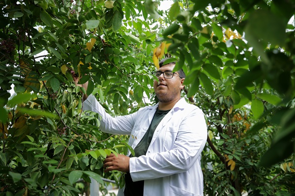 Foto - Hibe desteği aldı tesis kurdu! Hem meyve hem elektrik üretiyorlar