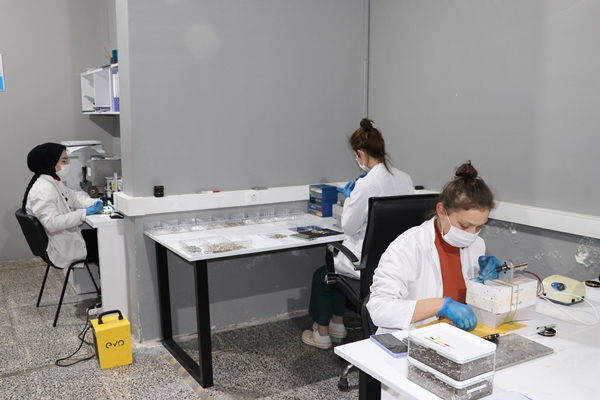 Foto - Hibe desteğiyle üretmeye başladılar... Şimdi 7 ülkeye ihraç ediyorlar