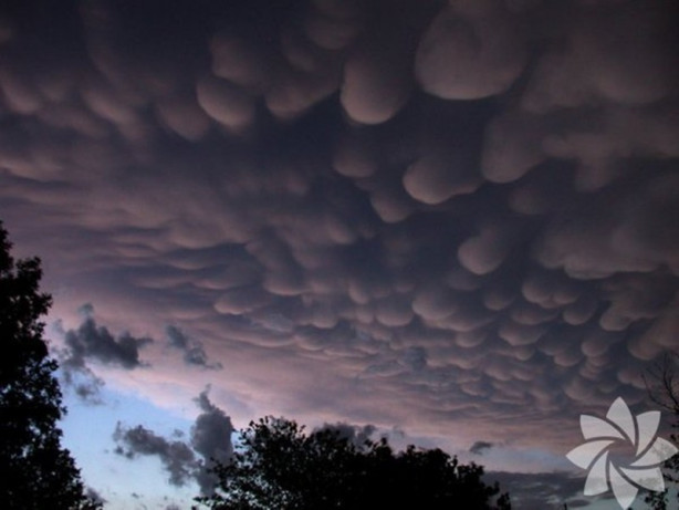 Foto - Hiç bilmediğiniz bulut çeşitleri
