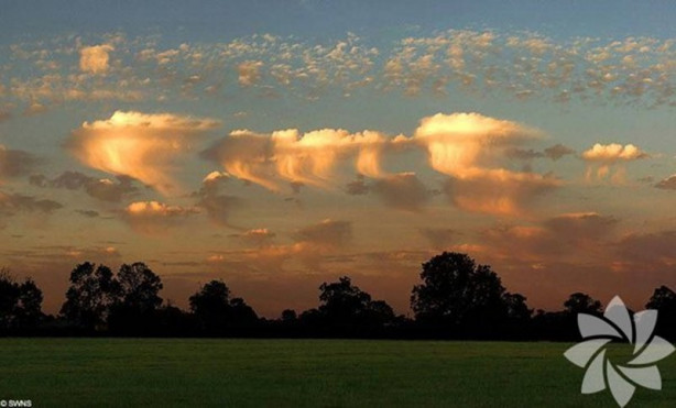 Foto - Hiç bilmediğiniz bulut çeşitleri
