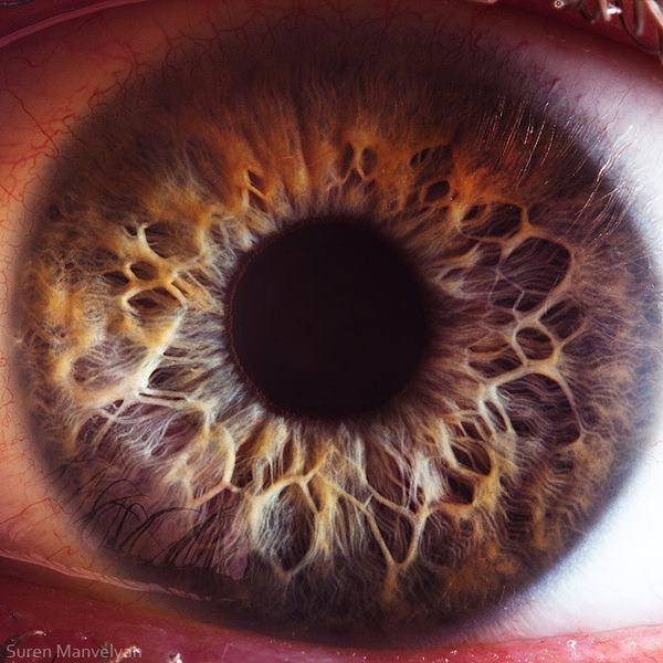 Foto - Hiç bu kadar yakından görmüş müydünüz?