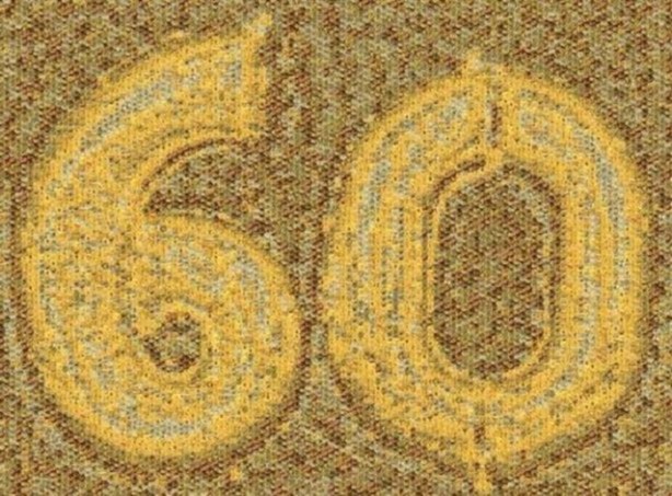 Foto - Hiç duymadığınız ilginç bilgiler