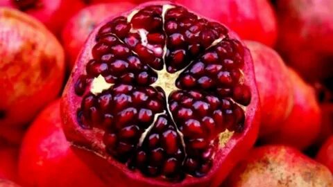 Foto - Hiç kimse bilmiyor! Nara tuz döküp yerseniz bakın ne oluyor