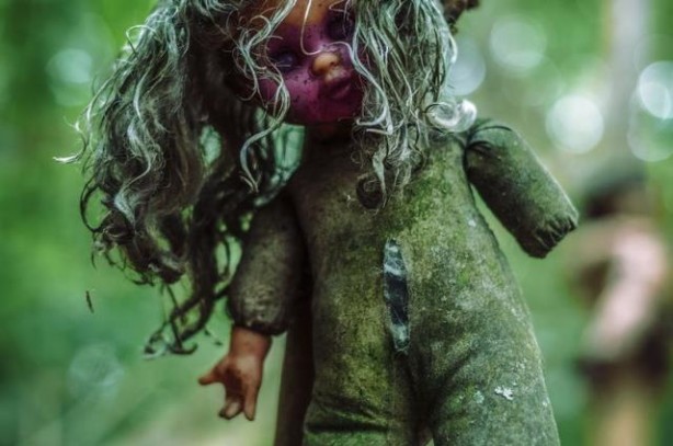 Foto - Bazıları gülüyor, bazıları ağlıyor! Ormanda korkunç bölge keşfedildi