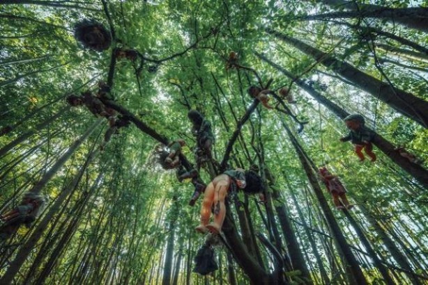 Foto - Bazıları gülüyor, bazıları ağlıyor! Ormanda korkunç bölge keşfedildi