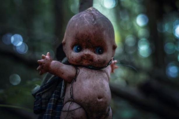 Foto - Bazıları gülüyor, bazıları ağlıyor! Ormanda korkunç bölge keşfedildi