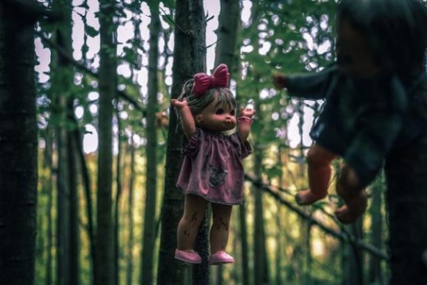 Foto - Bazıları gülüyor, bazıları ağlıyor! Ormanda korkunç bölge keşfedildi
