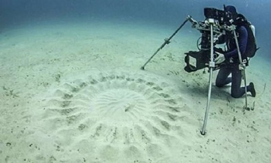 Hiç kimse ne olduğunu bilmiyor: Görünce çok şaşıracaksınız