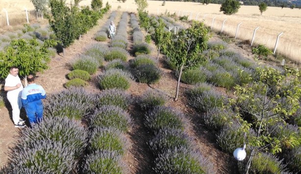 Foto - Hiç tahmin edememişlerdi! Hobi olarak başladı ama sonuç inanılmaz